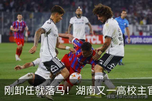 刚卸任就落马！湖南又一高校主官被拿下，和南华大学渊源很深