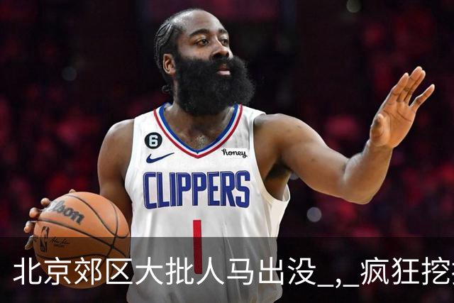 北京郊区大批人马出没 , 疯狂挖掘神秘“黑疙瘩” , 因滥采已岌岌可危