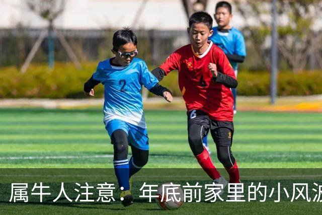 属牛人注意：年底前家里的小风波，其实是亲家关系升温的好兆头