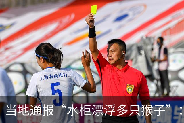 当地通报“水柜漂浮多只猴子”：系猴群下山饮水时不慎溺亡，已全部打捞并作无害化处理；水柜用于农业灌溉，已完成首轮消杀
