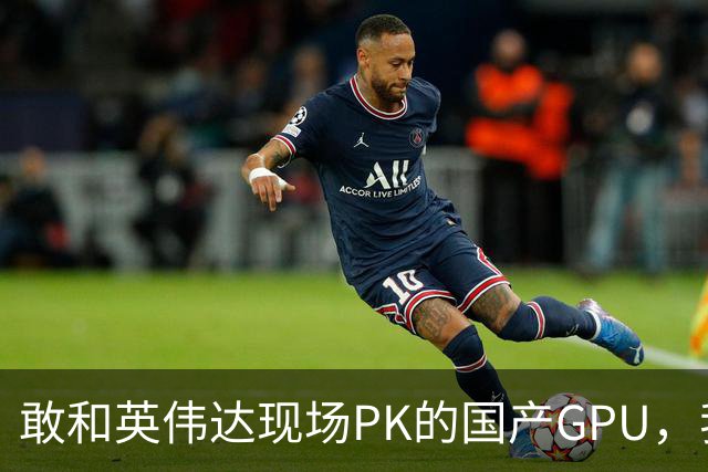 敢和英伟达现场PK的国产GPU，我是服的