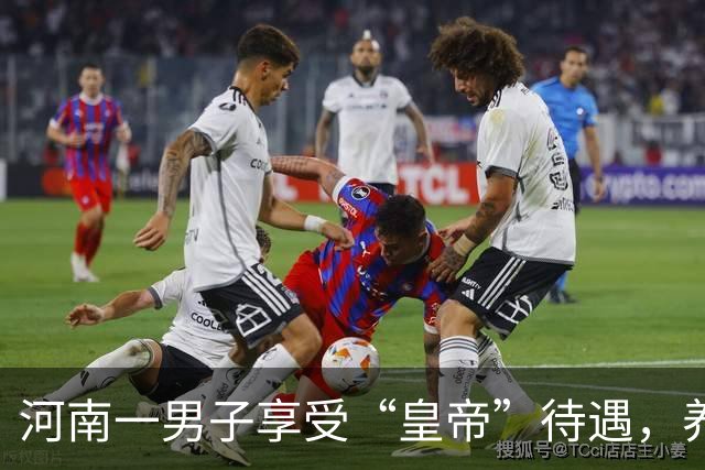 河南一男子享受“皇帝”待遇，养几十个女人，还说有钱就要这样干