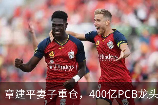 章建平妻子重仓，400亿PCB龙头封死涨停