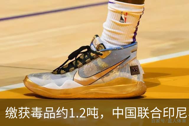 缴获毒品约1.2吨，中国联合印尼、马来西亚破获一起特大跨国制贩毒案