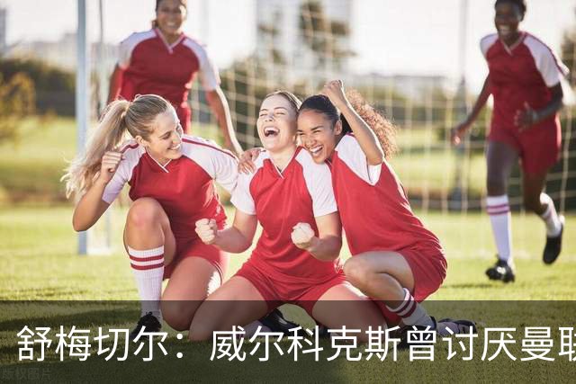 舒梅切尔：威尔科克斯曾讨厌曼联，为何如今却在曼联任职