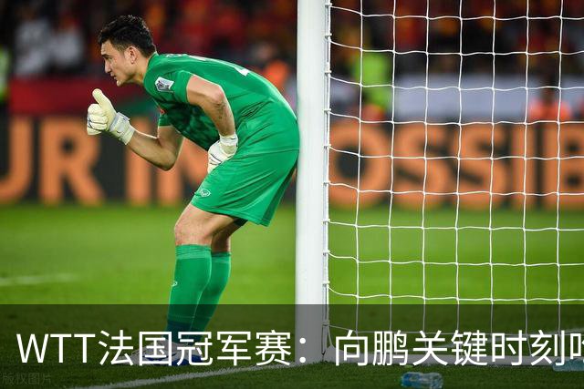 WTT法国冠军赛：向鹏关键时刻吃俩发球，2-3惜败不敌老将奥恰洛夫